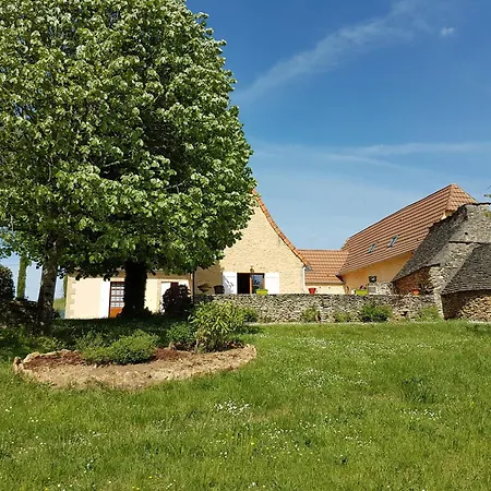 Villa La Clef Des Champs Saint-Leon-sur-Vezere Exterior foto
